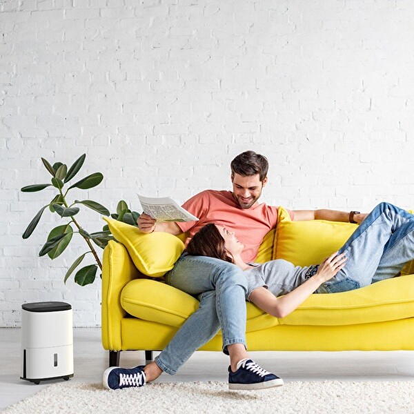 Meaco MeacoDry Arete Two 12L Nem Alma ve Hava Temizleme Cihazı