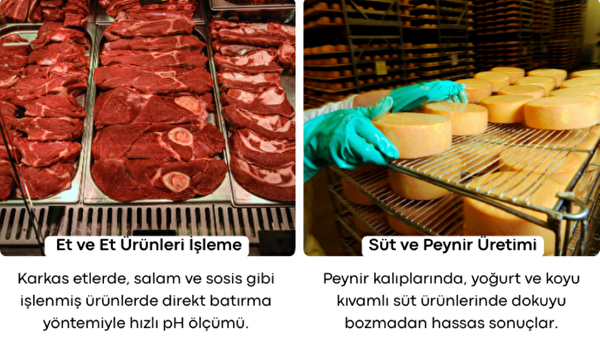 AZ Instruments 8613 Sivri Uçlu Değiştirilebilir Problu Gıda PH Ölçer