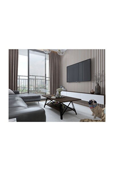 BMdekor Orta Sehpa Tetra Ceviz Siyah