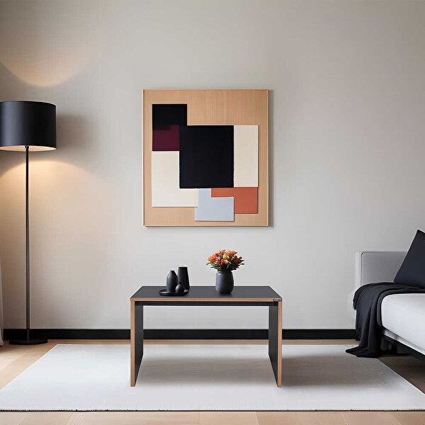 Adore Mobilya Rio Dikdörtgen Antrasit/Kontra 60x43x40 CM Sehpa GxYxD