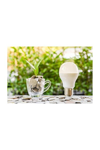 Philips 8W 60W 6500K E27 Beyaz Tasarruflu LED Ampul - 3 Adet
