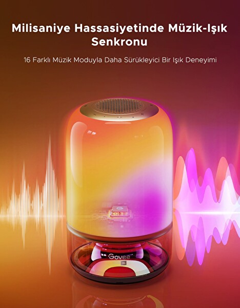 Govee H60200F1 2 Pro x JBL Hoparlörlü Type-C Şarjı 45' Masa Lambası
