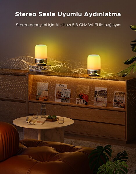Govee H60200F1 2 Pro x JBL Hoparlörlü Type-C Şarjı 45' Masa Lambası
