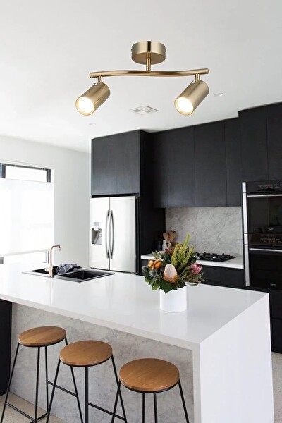 Avize Pazarı Spotte 2'li Antık Lak Plafonyer