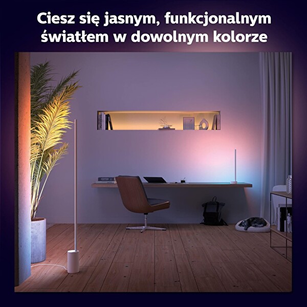 Philips Hue Gradient Signe Zemin Işığı Beyaz 915005987101
