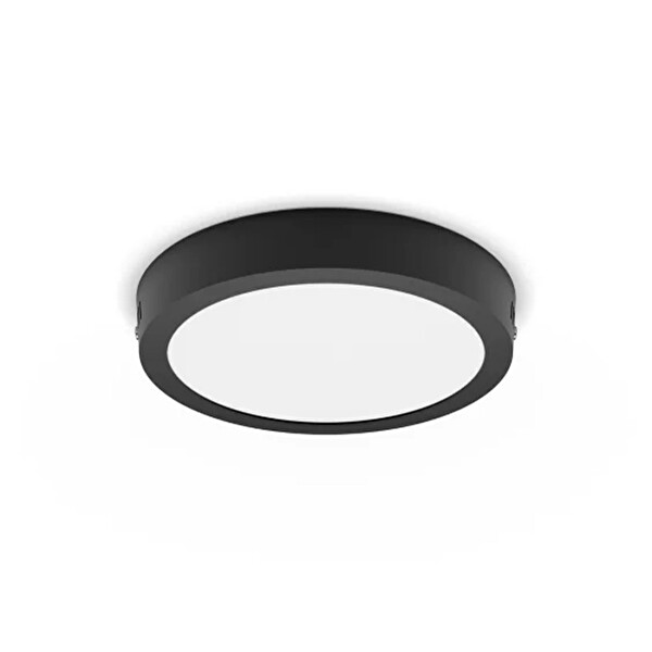 Philips Magneos DL252 12W 2700K Günışığı LED Gömme Spot Yuvarlak Siyah Kasa Sıvaüstü Armatür
