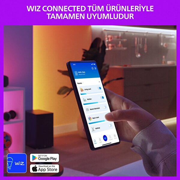 Philips Smart Lighting LED Ampul A60 E27 100W Eşdeğer RGB 2'li Paket - Google Home - Alexa - HomeKit ve Matter Uyumlu