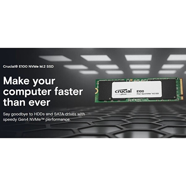 Crucial CT1000E100SSD8 E100 1 TB NVMe M.2 SSD