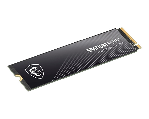 MSI Spatium M560 2 TB 10300/8700 MB/s PCIe Gen5.0 NVMe M.2 SSD
