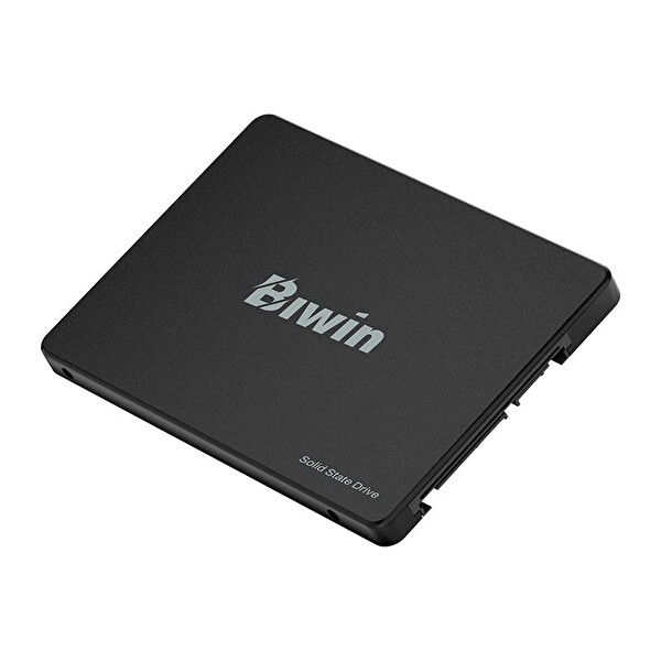 Biwin M100 BM100NN256G-RGX 256 GB 550/470 MB/s 2.5 SATA 3.0 SSD