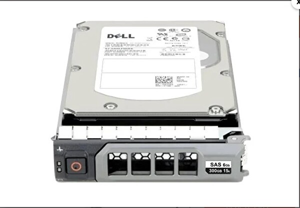 Dell EnterPrise ST3300555SS 0RN828 300 GB 10 K 6 G SAS 3.5