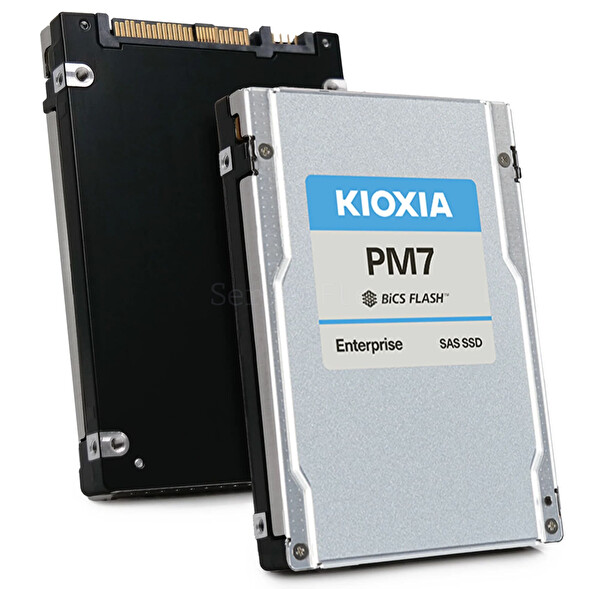 Kioxia 1.92TB 12G RI SAS 2.5