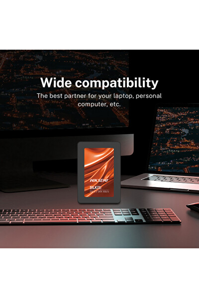 Hiksemi SILK(S) 1 TB 2.5