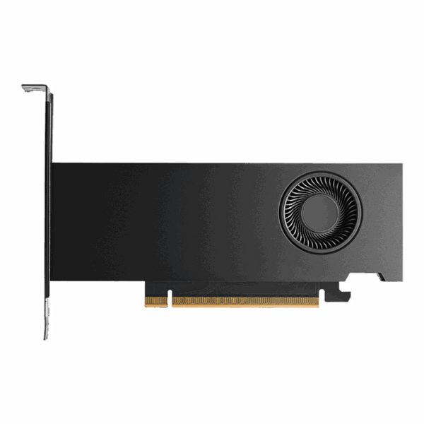 NVIDIA RTX PRO 2000 Blackwell 16GB Ekran Kartı 900-5G195-2250-000