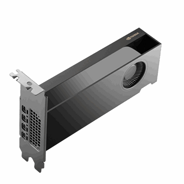 NVIDIA RTX PRO 2000 Blackwell 16GB Ekran Kartı 900-5G195-2250-000