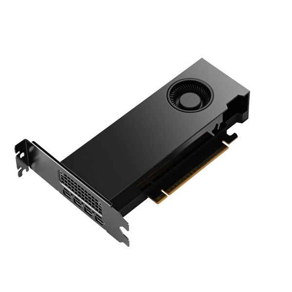 NVIDIA RTX PRO 2000 Blackwell 16GB Ekran Kartı 900-5G195-2250-000