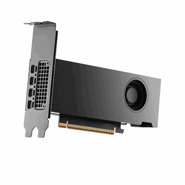 NVIDIA RTX PRO 2000 Blackwell 16GB Ekran Kartı 900-5G195-2250-000