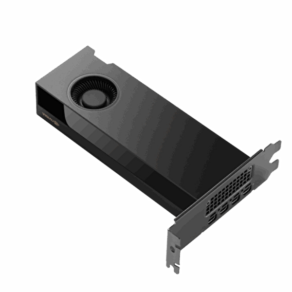 NVIDIA RTX PRO 2000 Blackwell 16GB Ekran Kartı 900-5G195-2250-000