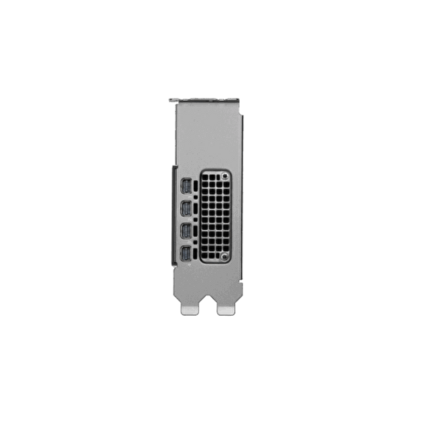 NVIDIA RTX PRO 2000 Blackwell 16GB Ekran Kartı 900-5G195-2250-000