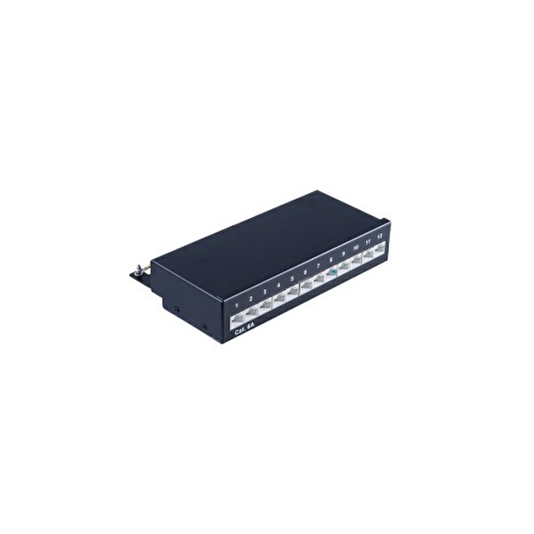 Irenis Cat 6A 12 Port PatchPanel