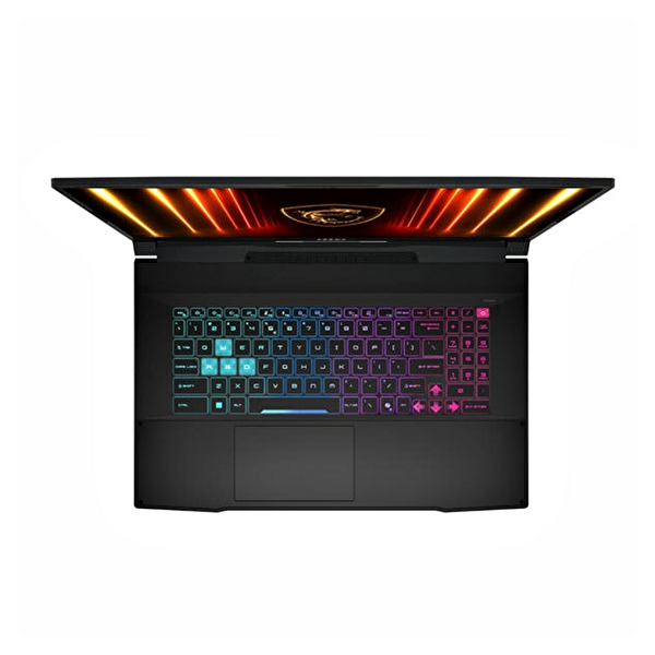 MSI Katana 17 HX B14WGKA5-048XTRA5 Core i9 14900HX 17.3