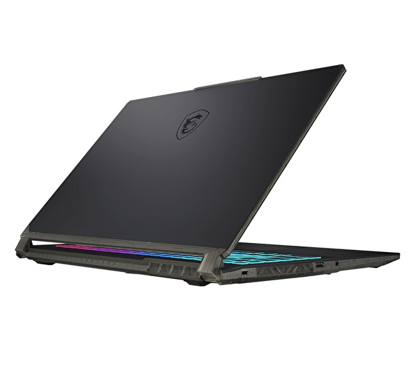 MSI Cyborg 15 A13UCA24-2087XTRA24 İntel Core İ5 13420H 15.6