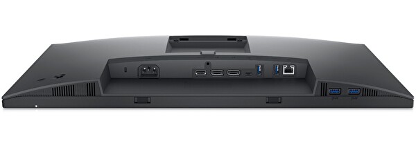 Dell P2422HE 23.8