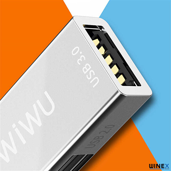 Winex Wiwu T02 USB Type-C Hub Gri Çevirici Ve Çoklayıcı