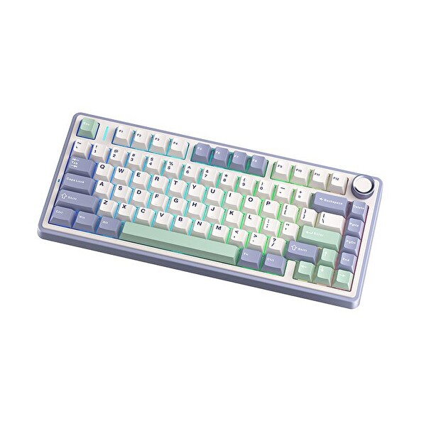 Aula F75 Mekanik RGB TKL Gray Switch Kablosuz Makrolu Hot Swap Klavye Pastel