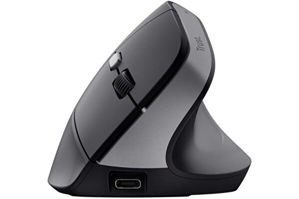 Trust TM-270 Ergonomik Kablosuz Siyah Mouse