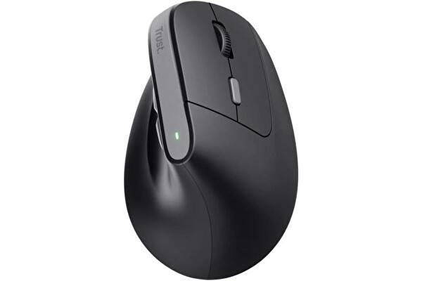 Trust TM-270 Ergonomik Kablosuz Siyah Mouse