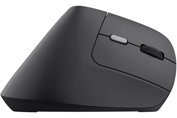 Trust TM-270 Ergonomik Kablosuz Siyah Mouse