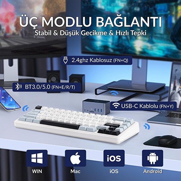 Aula F65 Reaper Switch Mekanik RGB TKL Makrolu Hot Swap Kablosuz Klavye Buz Mavisi