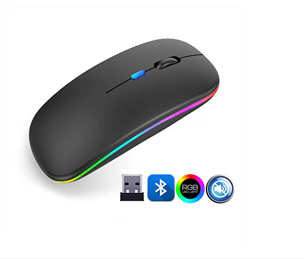 Evimdeyokyok ZR215 CBA100 RGB Siyah Şarjlı Mouse