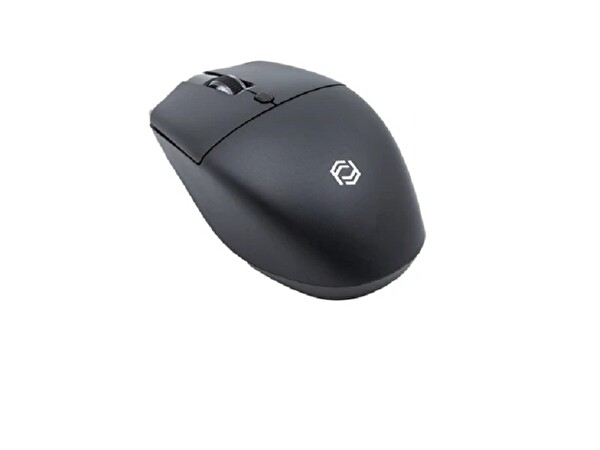 Frisby FM-284WM Kablosuz Mouse