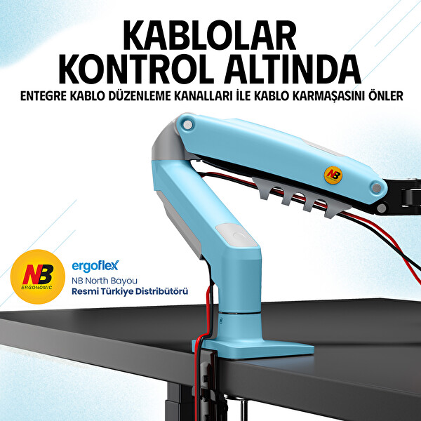 Ergoflex North Bayou F80 17