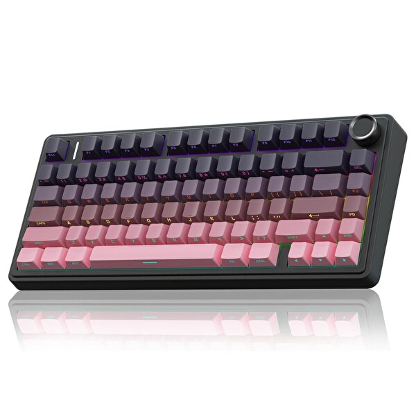 Aula F75 Mekanik RGB TKL Reaper Switch Kablosuz Makrolu Hot Swap Mekanik Klavye Gradyan Pembe