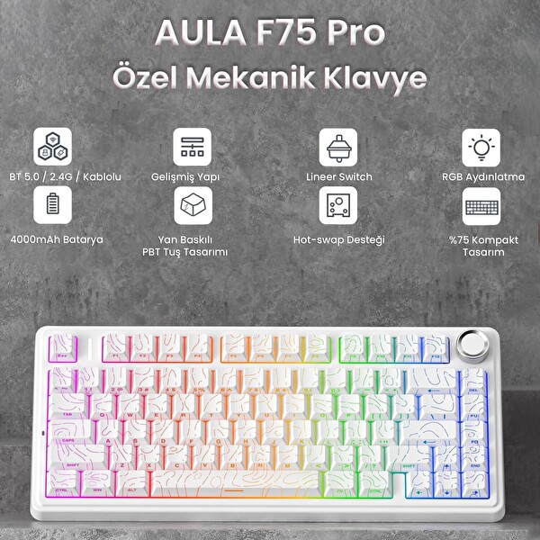 Aula F75 Mekanik RGB TKL Seiya Switch Kablosuz Makrolu Hot Swap Gaming Klavye - Desenli Beyaz