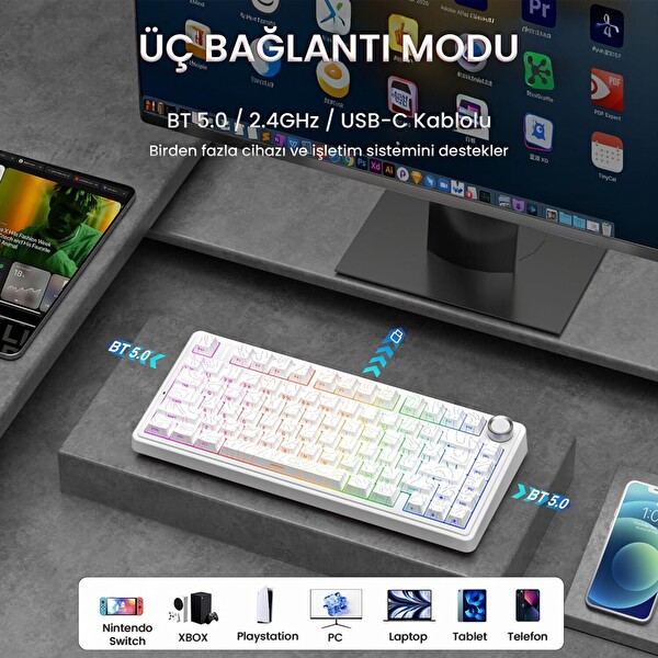 Aula F75 Mekanik RGB TKL Seiya Switch Kablosuz Makrolu Hot Swap Gaming Klavye - Desenli Beyaz