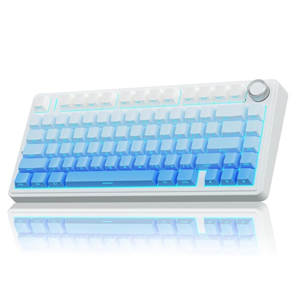 Aula F75 Mekanik RGB TKL Seiya Switch Kablosuz Makrolu Hot Swap Gaming Klavye - Gradyan Mavi