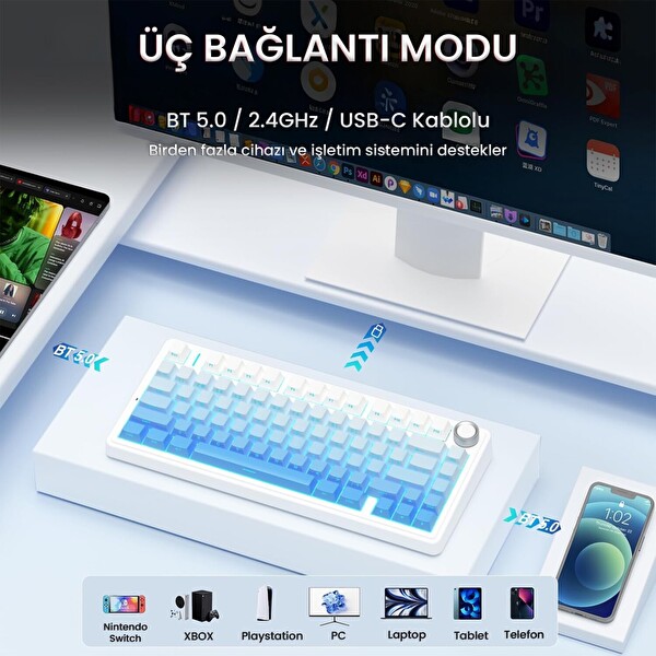 Aula F75 Mekanik RGB TKL Seiya Switch Kablosuz Makrolu Hot Swap Gaming Klavye - Gradyan Mavi