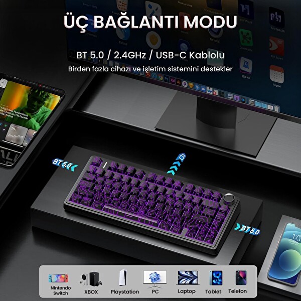 Aula F75 Mekanik RGB TKL Seiya Switch Kablosuz Makrolu Hot Swap Mekanik Klavye Desenli Siyah