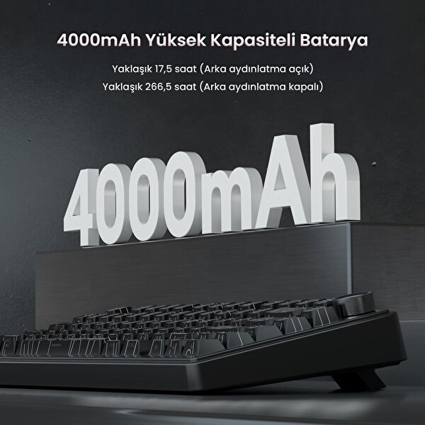 Aula F75 Mekanik RGB TKL Seiya Switch Kablosuz Makrolu Hot Swap Mekanik Klavye Desenli Siyah