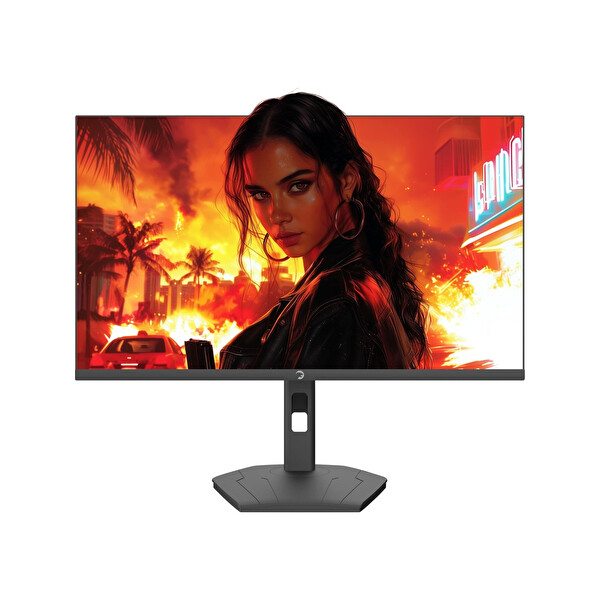 Gamepower Lunis L60 Flat 0.5MS 260HZ Fast IPS FHD Monitör
