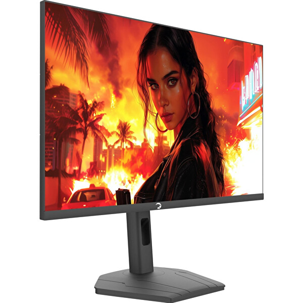 Gamepower Lunis L60 Flat 0.5MS 260HZ Fast IPS FHD Monitör