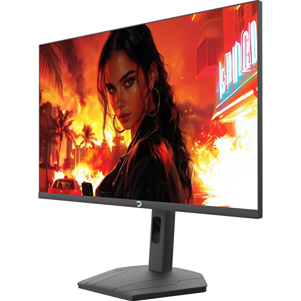 Gamepower Lunis L60 Flat 0.5MS 260HZ Fast IPS FHD Monitör