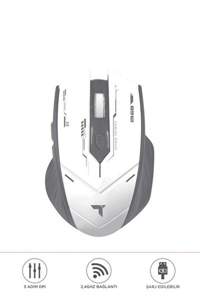 Başkenttekno TM-20 Çift Modlu Kablosuz Oyuncu Mouse Gri