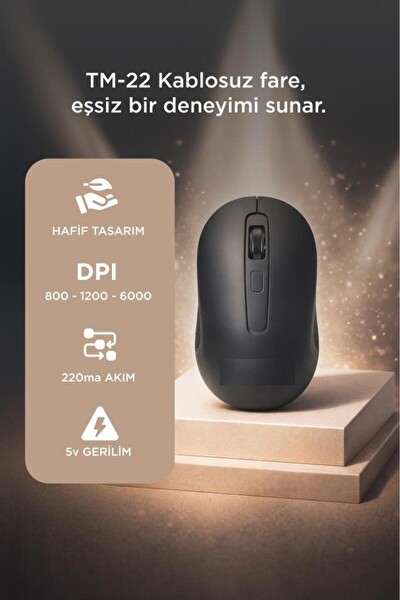 Başkenttekno TM22 Kablosuz USB Alıcılı Mouse Siyah