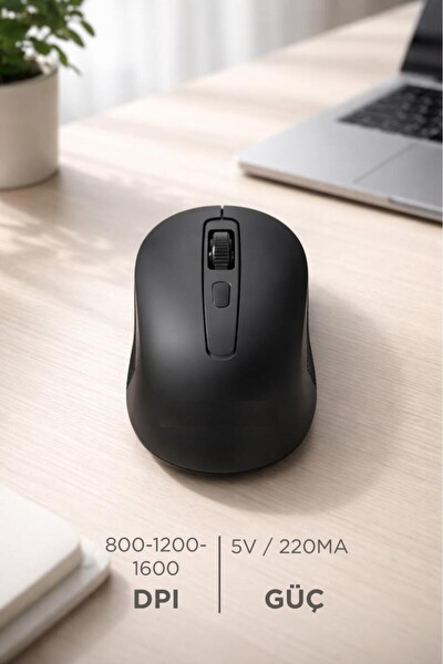 Başkenttekno TM22 Kablosuz USB Alıcılı Mouse Siyah