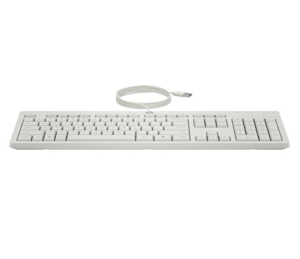 HP 225 Kablolu Fare ve Klavye AW5S6AA